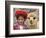 Girl in Native Dress with Baby Alpaca, Sacsayhuaman Inca Ruins, Cusco, Peru-Dennis Kirkland-Framed Photographic Print