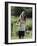 Girl Jogging with Headphones-null-Framed Photographic Print
