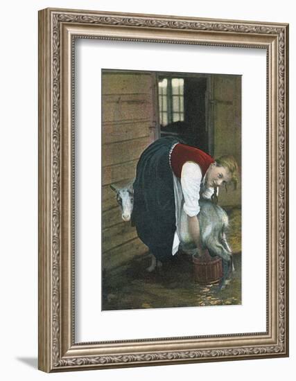 Girl Milking Goat, Norway-null-Framed Photographic Print