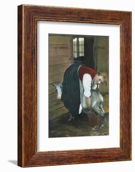 Girl Milking Goat, Norway-null-Framed Photographic Print