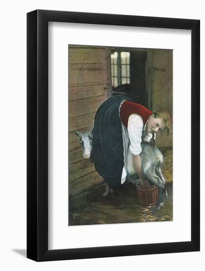 Girl Milking Goat, Norway-null-Framed Photographic Print