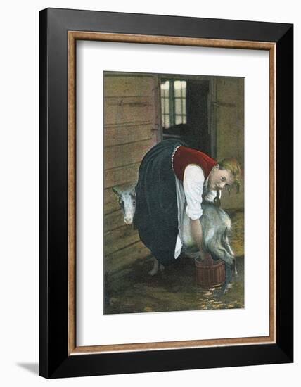 Girl Milking Goat, Norway-null-Framed Photographic Print