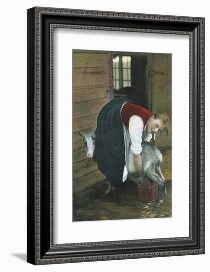 Girl Milking Goat, Norway-null-Framed Photographic Print