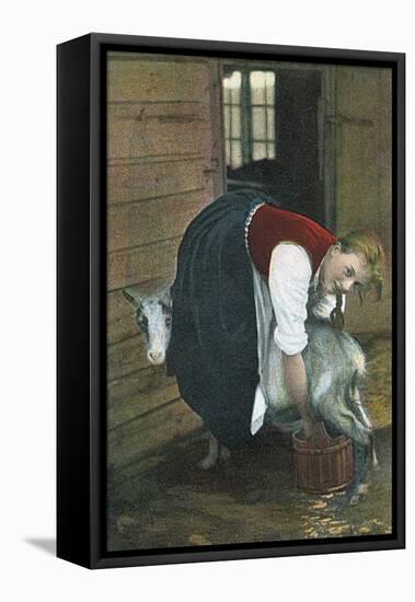 Girl Milking Goat, Norway-null-Framed Premier Image Canvas