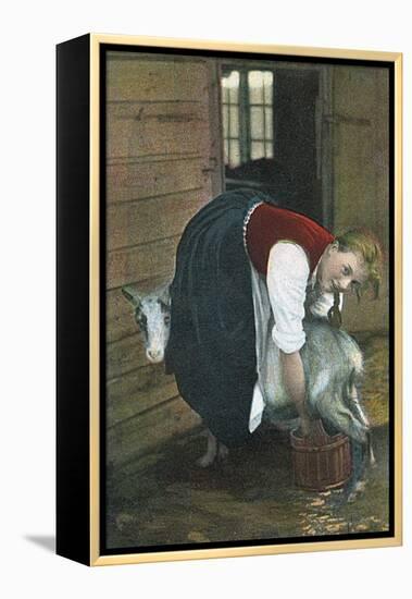 Girl Milking Goat, Norway-null-Framed Premier Image Canvas