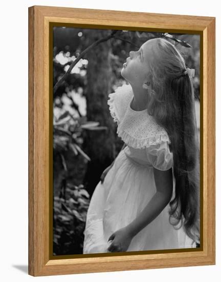 Girl of the Children's School of Modern Dancing, Looking Up a Tree-Lisa Larsen-Framed Premier Image Canvas