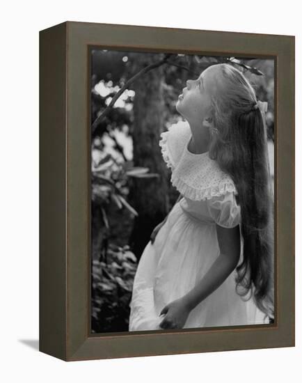 Girl of the Children's School of Modern Dancing, Looking Up a Tree-Lisa Larsen-Framed Premier Image Canvas