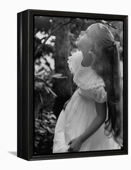 Girl of the Children's School of Modern Dancing, Looking Up a Tree-Lisa Larsen-Framed Premier Image Canvas