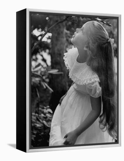 Girl of the Children's School of Modern Dancing, Looking Up a Tree-Lisa Larsen-Framed Premier Image Canvas