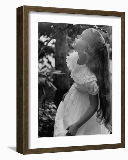 Girl of the Children's School of Modern Dancing, Looking Up a Tree-Lisa Larsen-Framed Photographic Print