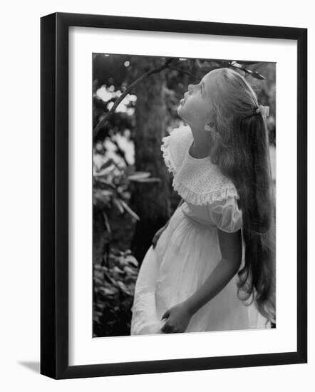 Girl of the Children's School of Modern Dancing, Looking Up a Tree-Lisa Larsen-Framed Photographic Print
