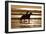 Girl on a Running Horse on the Beach-Nora Hernandez-Framed Photographic Print