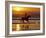 Girl on a Running Horse on the Beach-Nora Hernandez-Framed Photographic Print