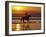 Girl on a Running Horse on the Beach-Nora Hernandez-Framed Photographic Print