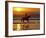 Girl on a Running Horse on the Beach-Nora Hernandez-Framed Photographic Print