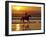 Girl on a Running Horse on the Beach-Nora Hernandez-Framed Photographic Print