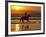 Girl on a Running Horse on the Beach-Nora Hernandez-Framed Photographic Print