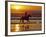 Girl on a Running Horse on the Beach-Nora Hernandez-Framed Photographic Print