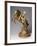 Girl on Horseback, Bronze and Ivory, Italy-null-Framed Giclee Print