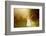 Girl Playing in the Sun-Elena Efimova-Framed Photographic Print