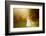 Girl Playing in the Sun-Elena Efimova-Framed Photographic Print