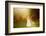 Girl Playing in the Sun-Elena Efimova-Framed Photographic Print