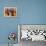 Girl Playing Lion Dance for Chinese New Year, Beijing, China-Keren Su-Framed Premier Image Canvas displayed on a wall