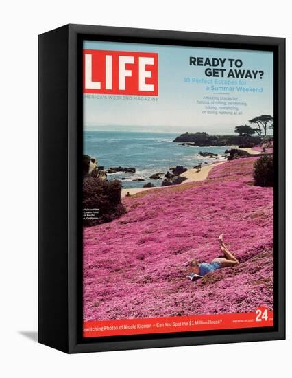Girl Reading a Book on "Pink Magic Carpet" at Lovers Point Park, Pacific Grove, CA, June 24, 2005-Greg Miller-Framed Premier Image Canvas