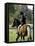 Girl Riding on a Pony-null-Framed Premier Image Canvas