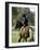 Girl Riding on a Pony-null-Framed Photographic Print