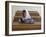 Girl Sits Alone in Her Class Room During a Break in Aftabachi School in Eastern Afghanistan-null-Framed Photographic Print