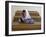 Girl Sits Alone in Her Class Room During a Break in Aftabachi School in Eastern Afghanistan-null-Framed Photographic Print