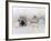 Girl Sitting Against Wall with Dolls and Teddy Bear-Nora Hernandez-Framed Giclee Print