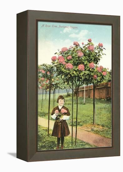 Girl Standing by Rose Trees, Portland, Oregon-null-Framed Stretched Canvas