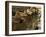 Girl Takes a Drink from the Water Spouts in a Temple Courtyard at Godavari in the Kathmandu Valley-Don Smith-Framed Photographic Print