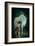 Girl Unicorn and Fireflies  -null-Framed Art Print