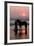 Girl with a Horse in the Water at Sunset-Nora Hernandez-Framed Photographic Print