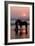 Girl with a Horse in the Water at Sunset-Nora Hernandez-Framed Photographic Print