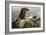 Girl with a Lizard, 1884-Ernst Stückelberg-Framed Giclee Print