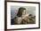 Girl with a Lizard, 1884-Ernst Stückelberg-Framed Giclee Print