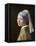 Girl with a Pearl Earring-Johannes Vermeer-Framed Stretched Canvas