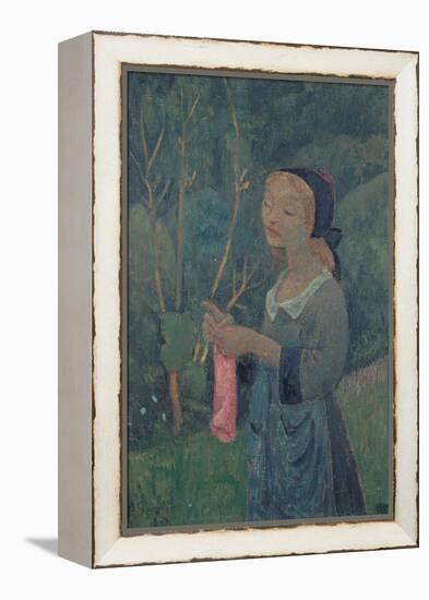 Girl with a Pink Stocking-Paul Sérusier-Framed Premier Image Canvas