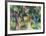 Girl with Blue Birds-Auguste Macke-Framed Collectable Print