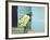 Girl with Calla Lilies-John Dominis-Framed Photographic Print