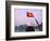 Girl with Conical Hat on a Junk Boat with National Flag and Karst Islands in Halong Bay, Vietnam-Keren Su-Framed Photographic Print
