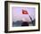 Girl with Conical Hat on a Junk Boat with National Flag and Karst Islands in Halong Bay, Vietnam-Keren Su-Framed Photographic Print