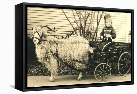 Girl with Ringlets in Goat Cart-null-Framed Stretched Canvas