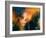 Girl with the Yellow Hat-Ursula Abresch-Framed Photographic Print