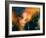 Girl with the Yellow Hat-Ursula Abresch-Framed Photographic Print