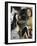 Girlfirends-Ikahl Beckford-Framed Giclee Print